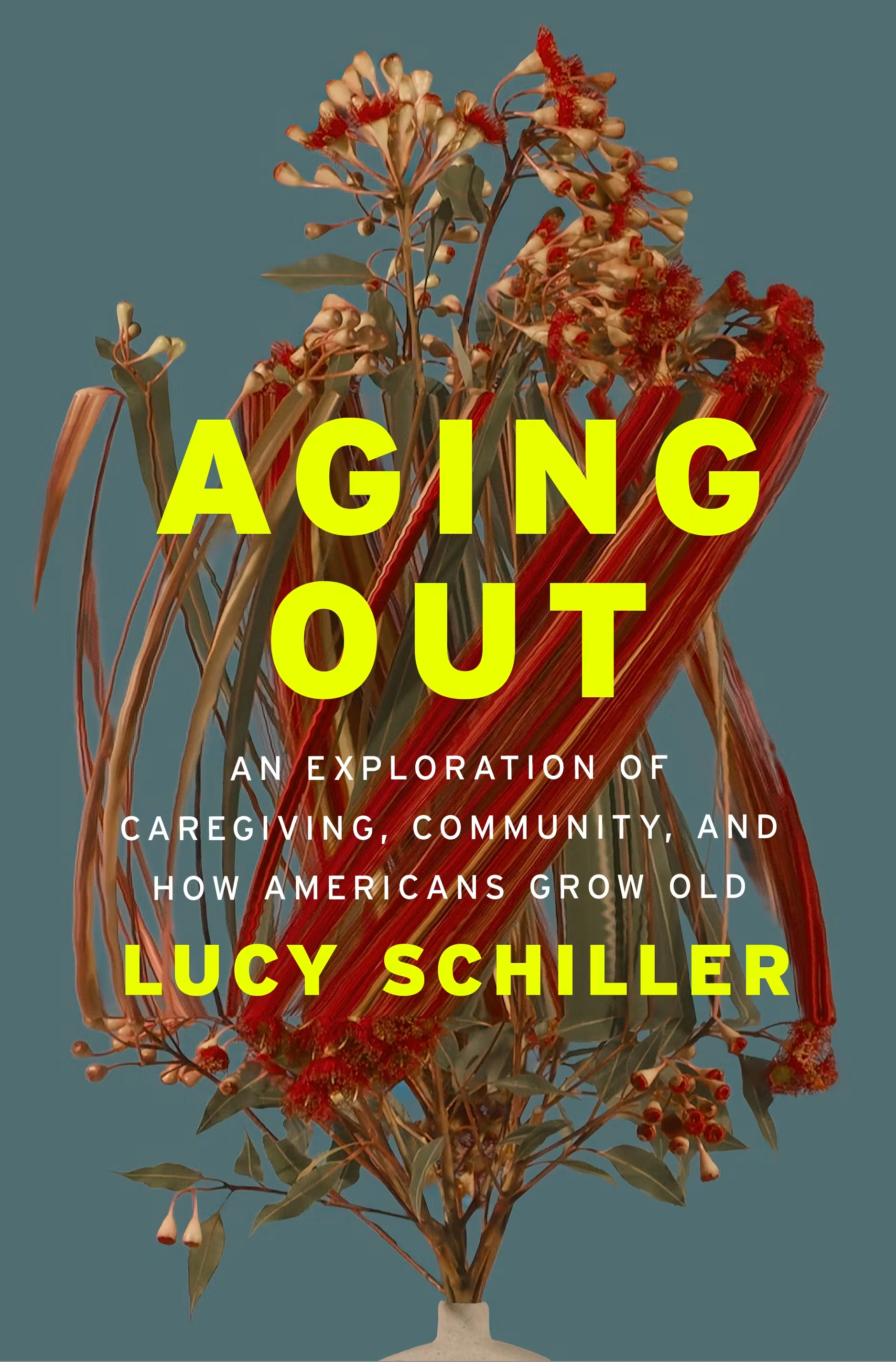 Aging out : an exploration of caregiving, community, and how Americans grow old / Lucy Schiller.